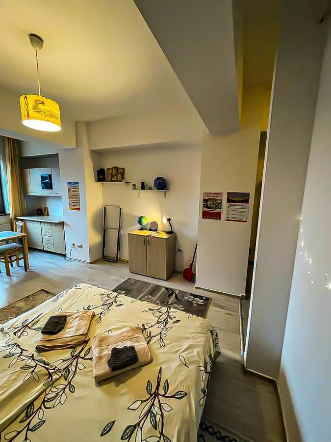 Apartment Mall - La 2 Minute De Mall Si Palatul Culturii